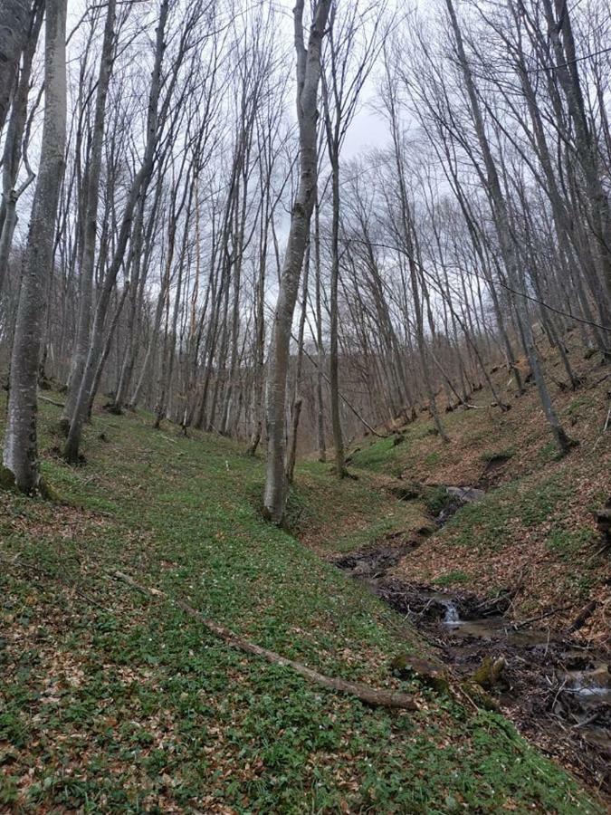 Etno Kuce Miljevic Otel Sipovo Dış mekan fotoğraf